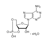 腺苷3’5’环单磷酸水合物