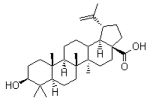 白桦脂酸