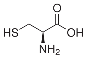 L半胱氨酸