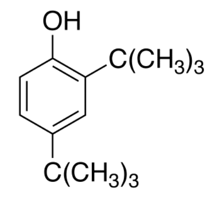 24二特丁基苯酚