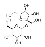 D蔗糖