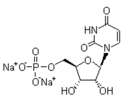 5’尿苷酸二钠