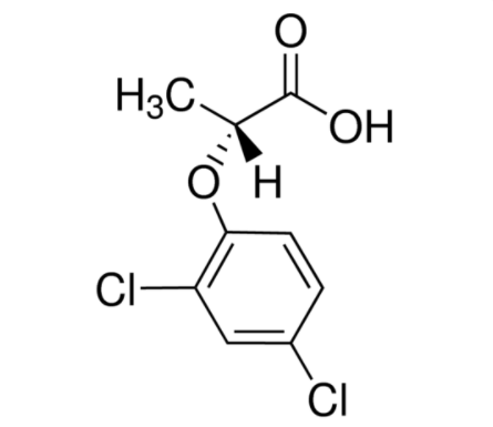 精24滴丙酸