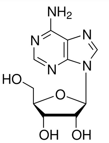 甲醇/水中腺苷溶液