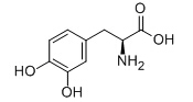 左旋多巴