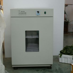 DHP-600 电热恒温培养箱 