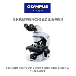 奥林巴斯显微镜 CX43双目生物显微镜