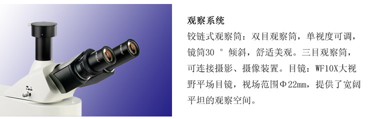 重庆正置荧光显微镜 LED荧光显微镜LH3201 荧光显微镜报价