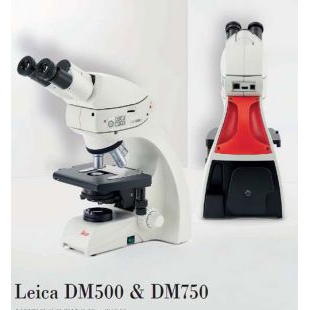 德国Leica显微镜 DM500生物显微镜 重庆徕卡显微镜