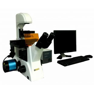 倒置荧光显微镜代理 倒置荧光显微镜XDS-FL(LED) 倒置荧光显微镜报价
