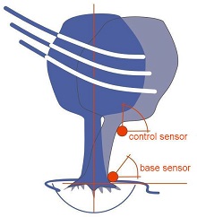 TMS 3树木稳定安全性测试仪