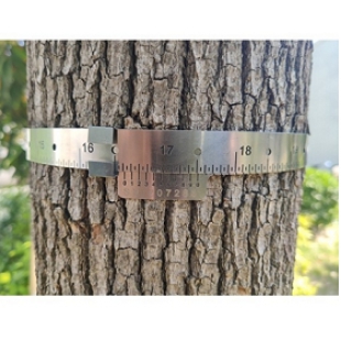 DJ-310X系列 树木胸径生长测量环