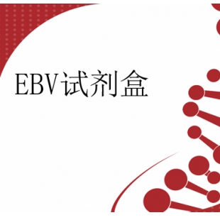 EB病毒（EBV）核酸检测试剂盒(数字PCR法)