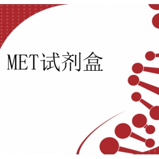 MET基因扩增 Exon14 跳跃检测试剂盒(数字PCR法)
