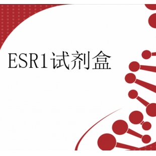 人ESR1基因Y537S/D538G突变检测试剂盒（数字PCR法）