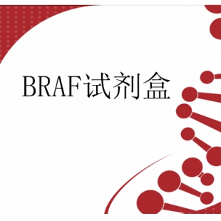 BRAF基因V600E突变检测试剂盒(数字PCR法）