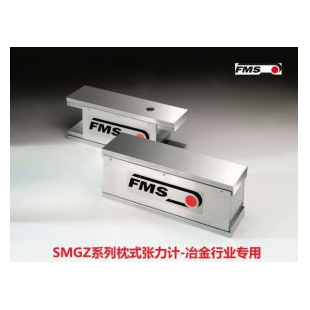 瑞士FMS轴承座式张力传感器SMGZ