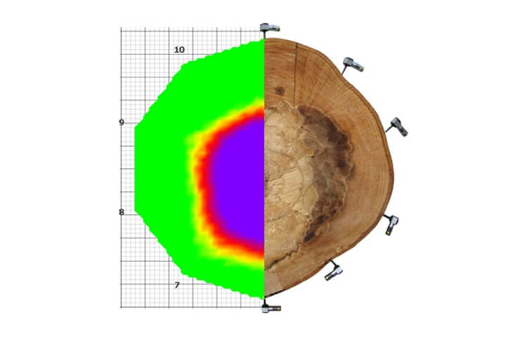 木材应力波测定仪