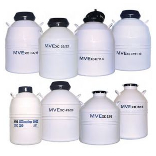 美国 MVE液氮罐XC系列