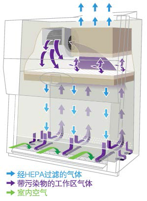 图二 生物安全柜气流模式.jpg