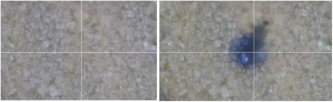 图3 采用785nm激光器照射之前（左）和照射之后（右）的薄层金属有机框架材料形貌图.png