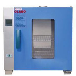 欧莱博电热恒温干燥箱 DHG-9140B 