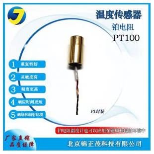 热电阻热电偶-Pt100温度传感器-PI封装-薄膜型铂电阻温度计