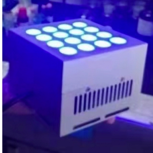 LED光催化合成降解反应仪