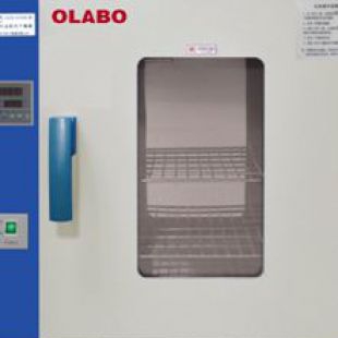 山东博科电热恒温干燥箱DHG-9140A