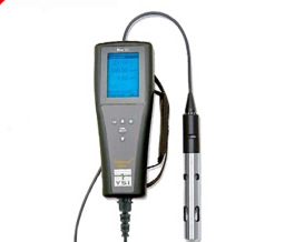 美国YSI Pro20i<em>溶解氧测量</em>仪