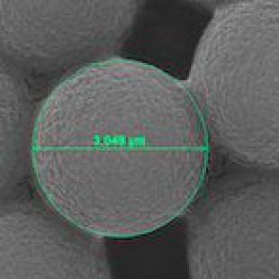 磁性微球/二氧化硅磁性微球/聚苯乙烯磁性微球/四氧化三铁磁性微球/磁珠