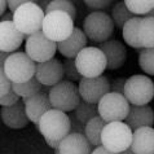 介孔二氧化硅微球/Mesoporous Silica Particles
