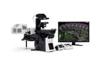 预算243.33万元 复旦大学采购高分辨率活细胞激光片层扫描成像系统