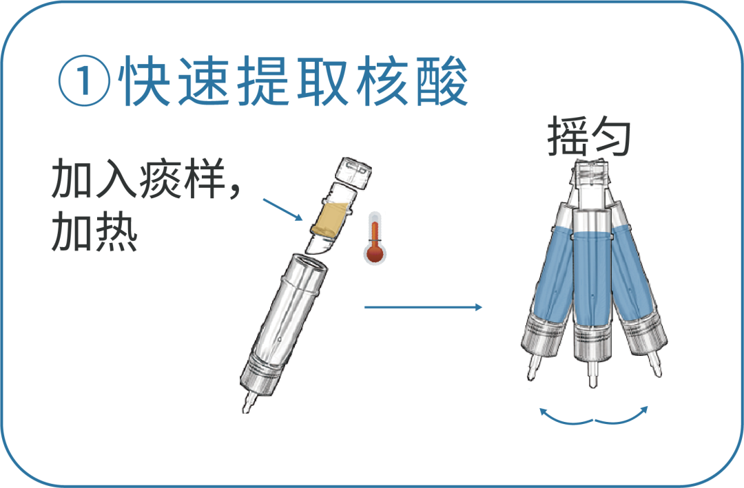 迪澳生物DeFast.TB® 助力结核病的精准诊断