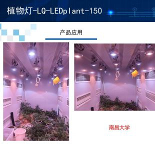 植物灯-LQ-LEDplant-150天井灯