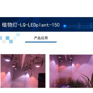植物灯-LQ-LEDplant-150天井灯