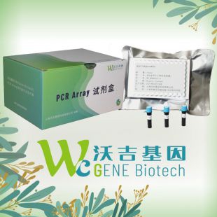 Wnt信号靶PCR阵列-大鼠