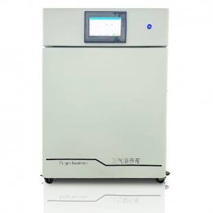 低氧细胞培养箱CN-SQ100B浓度可调三气培养箱