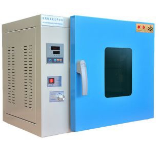 上海叶拓电热鼓风干燥箱YTLG-20F