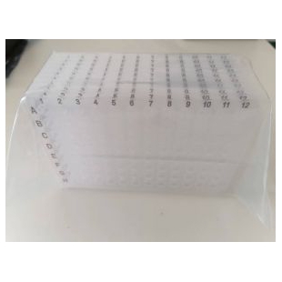 96孔PCR反应板，无酶、无菌、无热源