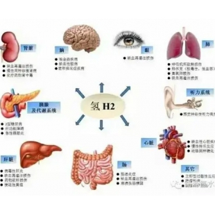 电解水技术制氢机健宜吸氢机