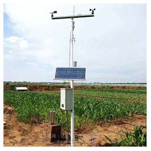 多要素气象监测系统  农业气象站