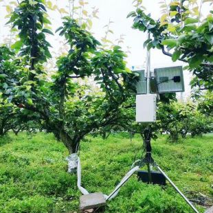 植物生理生态监测系统  型号：DF-STZ