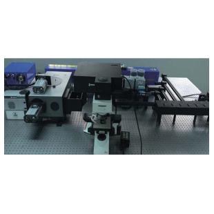 S-MPL系列显微荧光系统