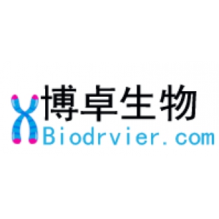 博卓生物科技（上海）有限公司
