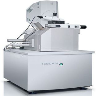  TESCAN RISE电镜拉曼一体化显微镜