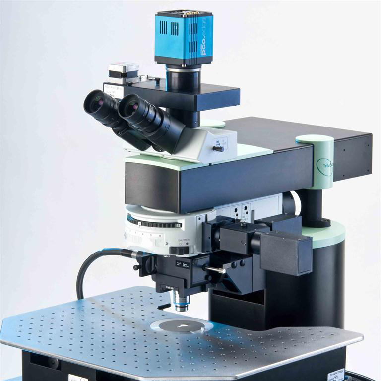 德国Lavision Biotec 双光子荧光显微镜TriM Scope