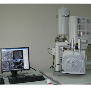 二手電子顯微鏡 Quanta 400F現貨出售