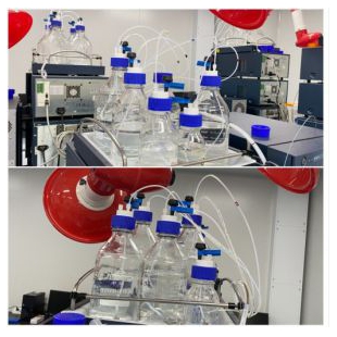 滤启科技4simple 流动相HPLC进样安全盖 GL45单向供液溶剂瓶盖