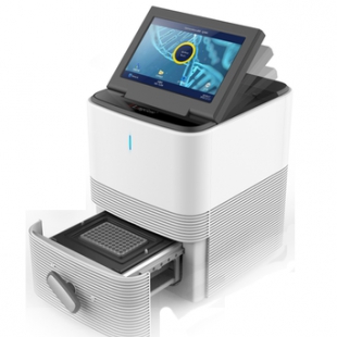 Q2000B型荧光定量PCR仪
